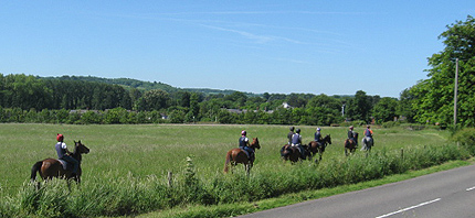 Horse Riding in the Chilterns
