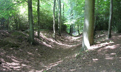 Cholesbury Camp Iron Age Hillfort